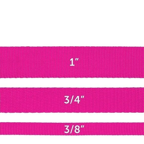 PetSafe Medium Leash, 3/4" × 4', Raspberry Pink NWT - Picture 3 of 6